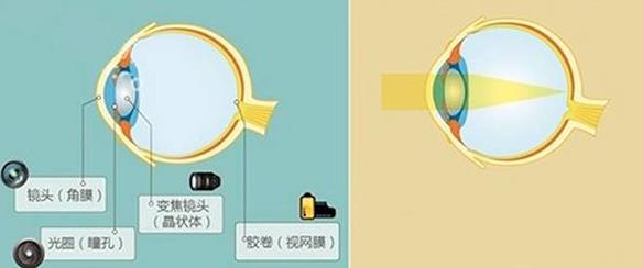怎么佩戴老花鏡？驗光 品牌 質(zhì)量 保養一個(gè)都不能少