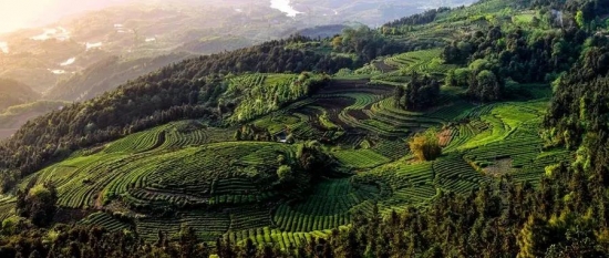 美麗島多焦鏡：這個(gè)明凈新春，以時(shí)間為軸，扶搖直上