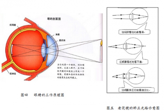 美麗島眼鏡：老花鏡不可隨意亂帶，需要在專(zhuān)業(yè)驗光后科學(xué)配制